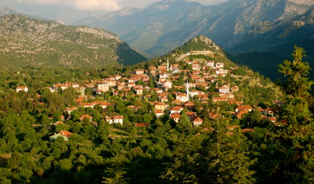 Tarihi düğmeli evlerin bulunduğu Ormana, dünyanın en iyi turizm köyü seçildi