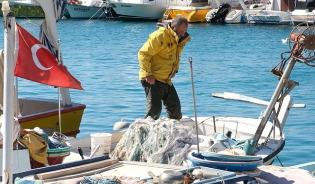 Barınakta tek kelimelik yönetim: Yok