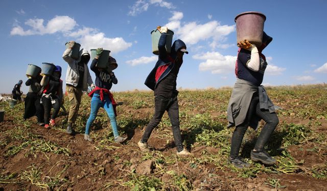 Tarım işçilerinin yevmiyesini bakanlık belirlesin önerisi