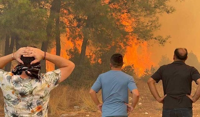 43 Bin hektar yeşil alan ihmal ve kasıtla yok oldu