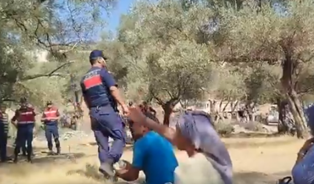 Akbelen'de zeytin ağaçları sökülüyor, direnenler gözaltında