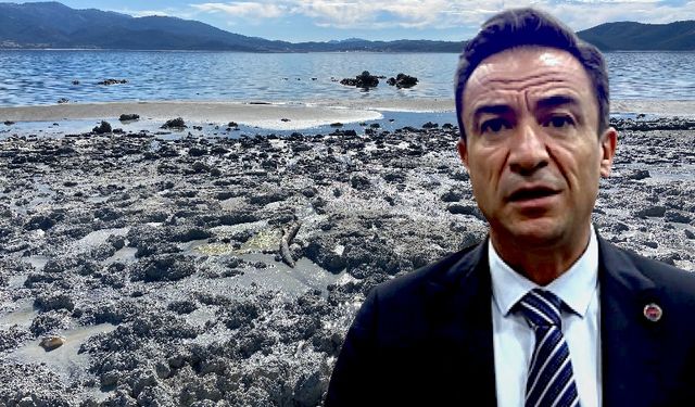 Antalya Vekili Adalet Bakanı'na Rojin Kabaiş'i sordu