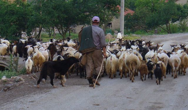 Heybe nakışına 1 milyonluk ceza!