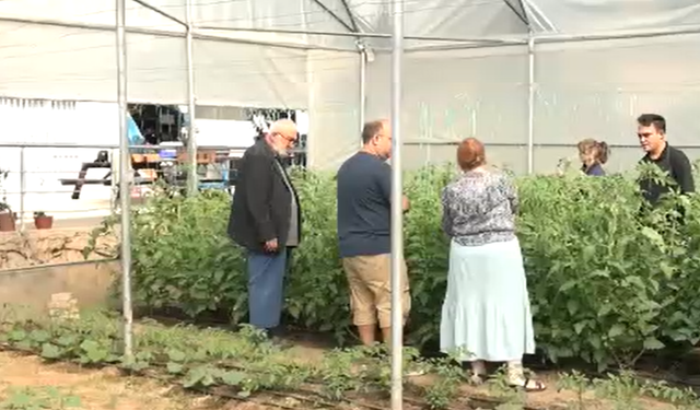 Topraktan gelen şifa: Akdeniz Üniversitesi’nde hastalar üretiyor