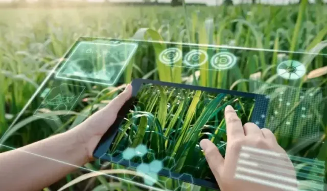 Türkiye tarımsal AR-GE’de çakıldı: 24 yılda oran 4 kat geriledi