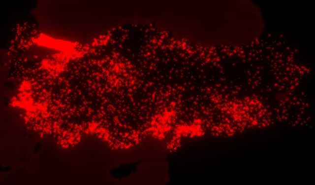 ‘Yaşayan Harita’: Kadın cinayetlerinin 17 yıllık hikâyesi mekâna işlendi