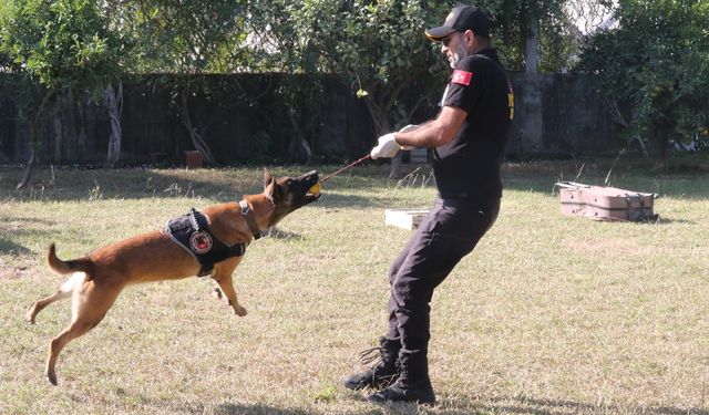 Antalya’nın narkotik köpeklerinin sırrı