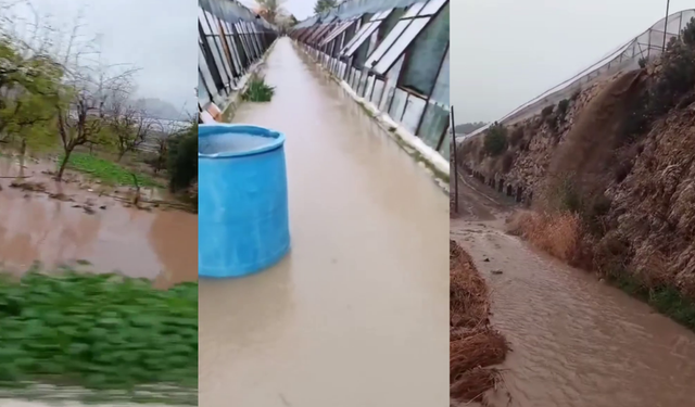 Çiftçi selin altında kaldı: “Tüccarlar, halciler buraya gelin!”