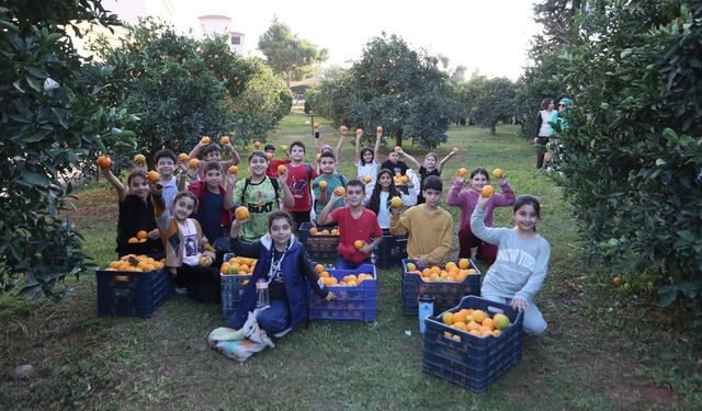Dokumapark’ta C vitamini kuyruğu: Gelene bedava!