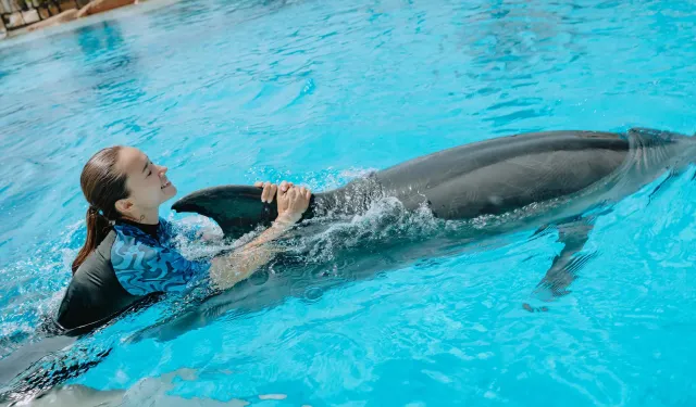 “The Land of Legends yasak deliyor, denetim makamları susuyor”