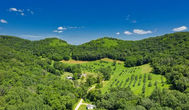 11 ilde orman sınırları değiştirildi