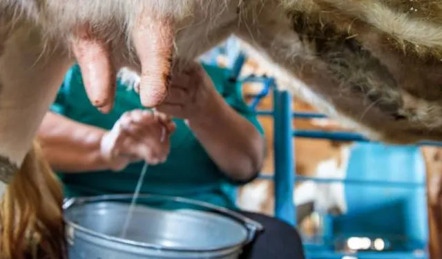 Sütte gözler 15 Aralık’ta: Üretici 19,60 TL’de tıkandı, 27 TL çağrısı yükseldi