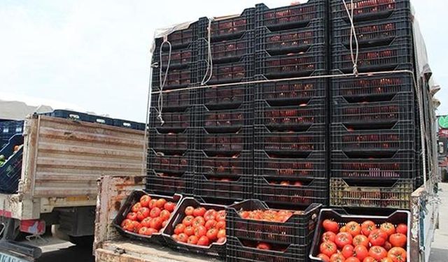 Geçen yıl bu güne göre hal fiyatları karşılaştırması