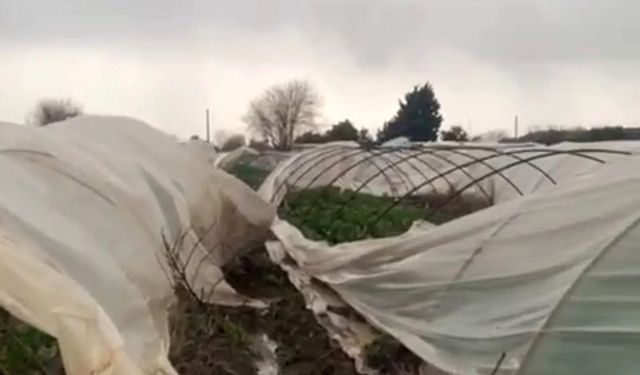 Serik'te fırtına seraları vurdu