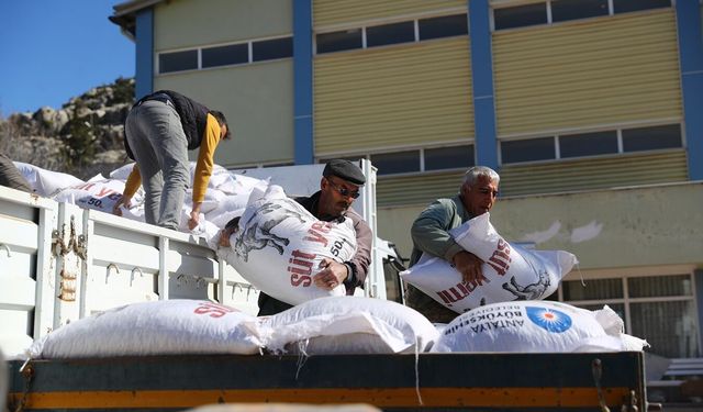 Büyükşehir'den hayvancılara yem desteği