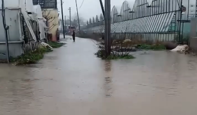 Aksu'da sağanak felaket oldu