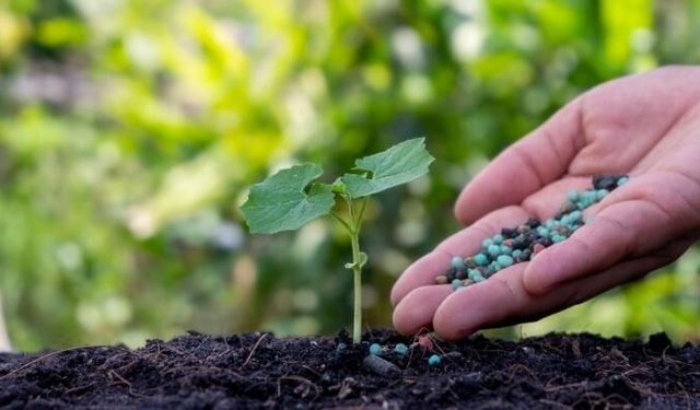İGSAŞ, Toros ve BAGFAŞ gübre fiyatları açıklandı: Üre, DAP ve CAN gübre kaç lira?