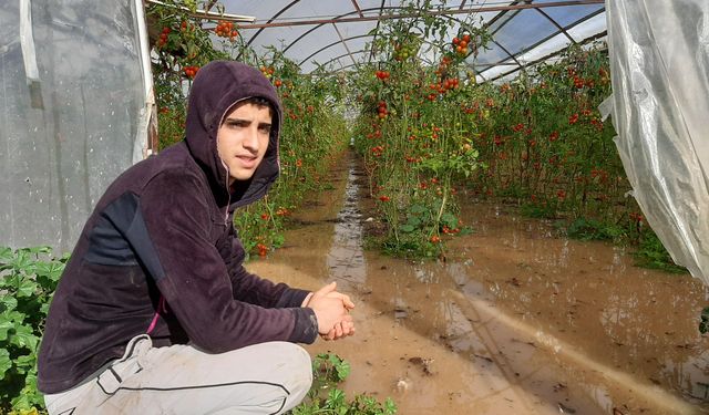 Kumlucalı çiftçi gökyüzüyle  sınanıyor