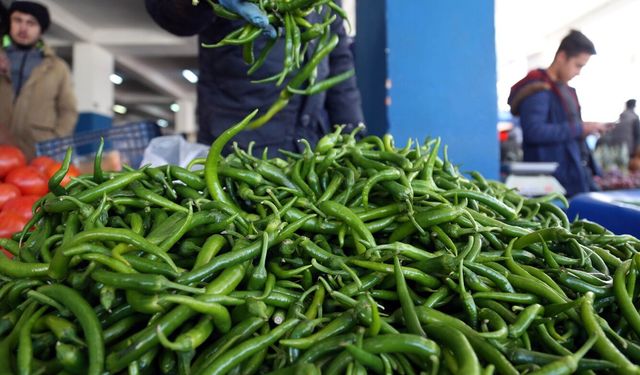 Batı Akdeniz'de ihracatı şampiyonu biber