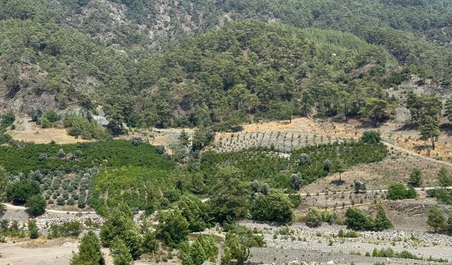 Cumhurbaşkanlığı kararına yürütmeyi durdurma!