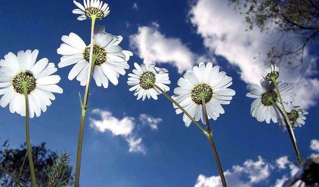 2026 yılında cemre ne zaman düşecek?