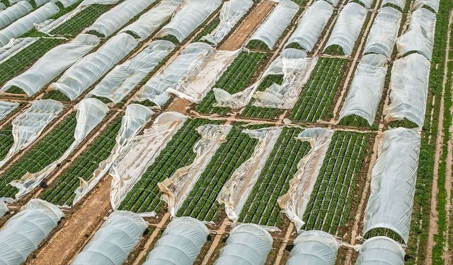 Antalya'da felaketin faturası 3 milyar TL