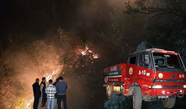 Alanya'da çıkan orman yangını söndürüldü