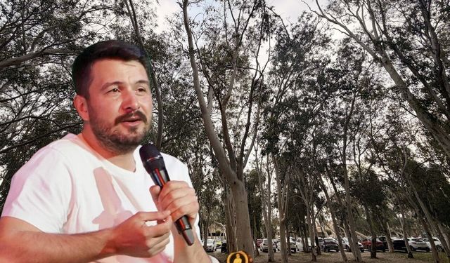 Antalya'da Okaliptüs alarmı: "Su kaynaklarını tüketiyor"