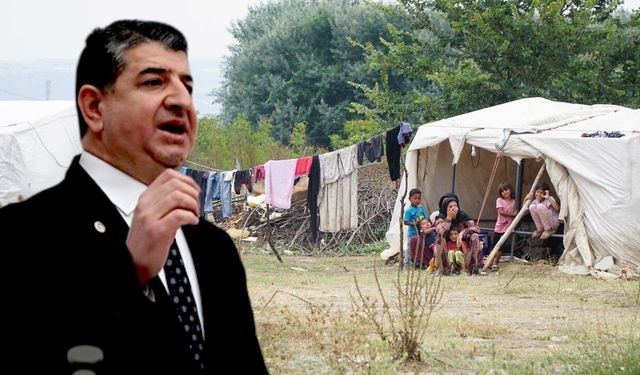 Tarım işçilerinin barınma krizi: Arı uyarmıştı