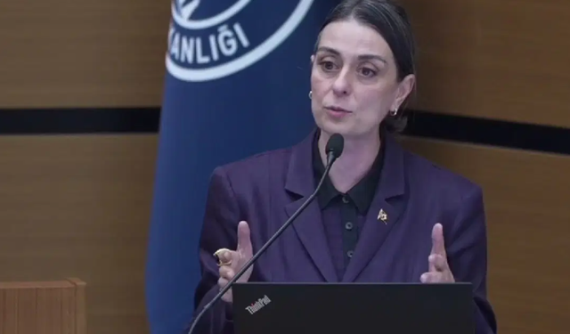 Sinem Dedetaş’tan operasyon tepkisi