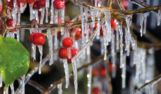 Bakanlıktan çiftçilere zirai don uyarısı