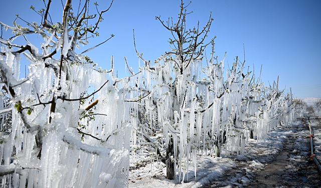 Antalya'da çiftçinin diken üstünde bekleyişi başlıyor