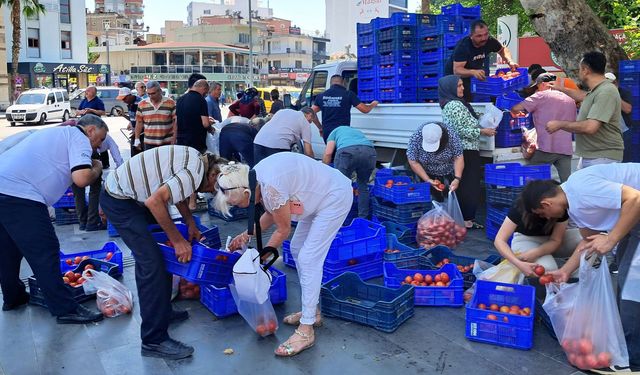 5 liraya alıcı çıkmadı, 4 ton domatesi bedava dağıttı