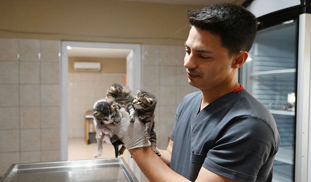 Kemer'de can dostlara tedavi ve rehabilitasyon