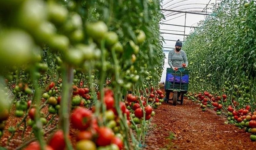 Antalya'ya tarımsal kalkınma hibesi