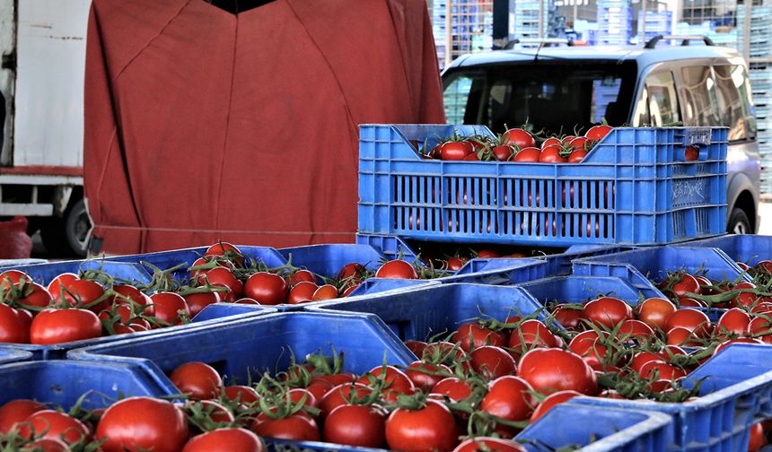 Antalya’da domates miktarı yıllık endekste arttı