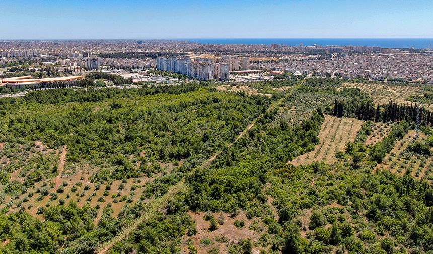 Antalya Valisi'nden 'Zeytinpark' çağrısı: Yeşil alan olarak mühürleyip son kaleyi kurtaralım!