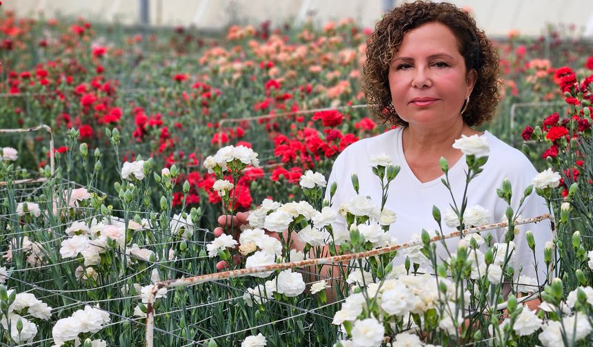 Likya’dan Dünyaya: Yerli karanfil atağa geçti