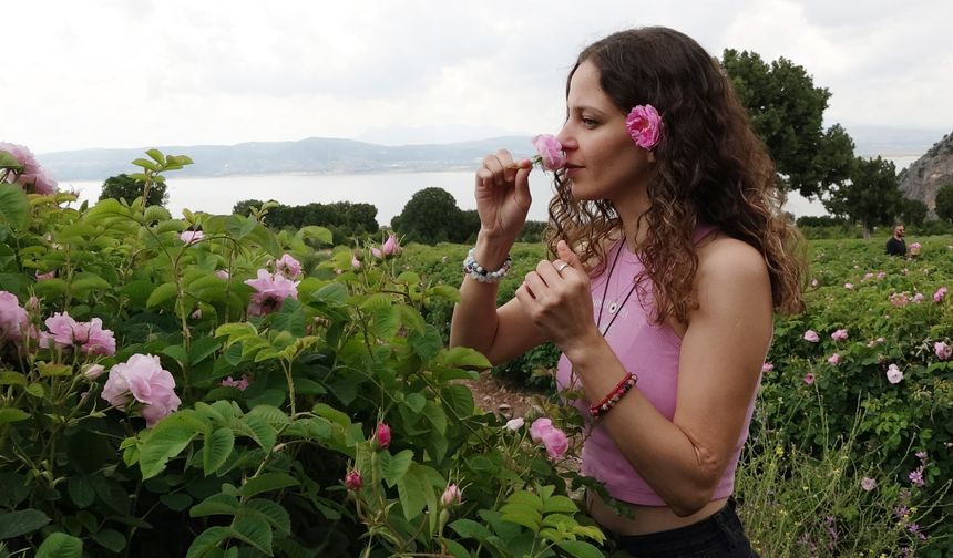 DoğaFest'te gül hasadı yaptılar