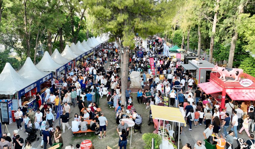 Dumanlı kokulu gürültülü festivallere tepki
