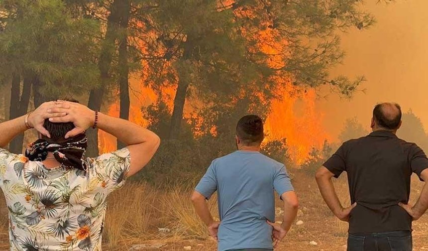 43 Bin hektar yeşil alan ihmal ve kasıtla yok oldu