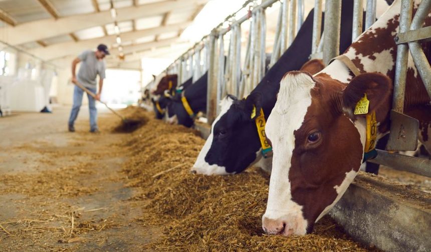 2026’da dünya et piyasası daralıyor