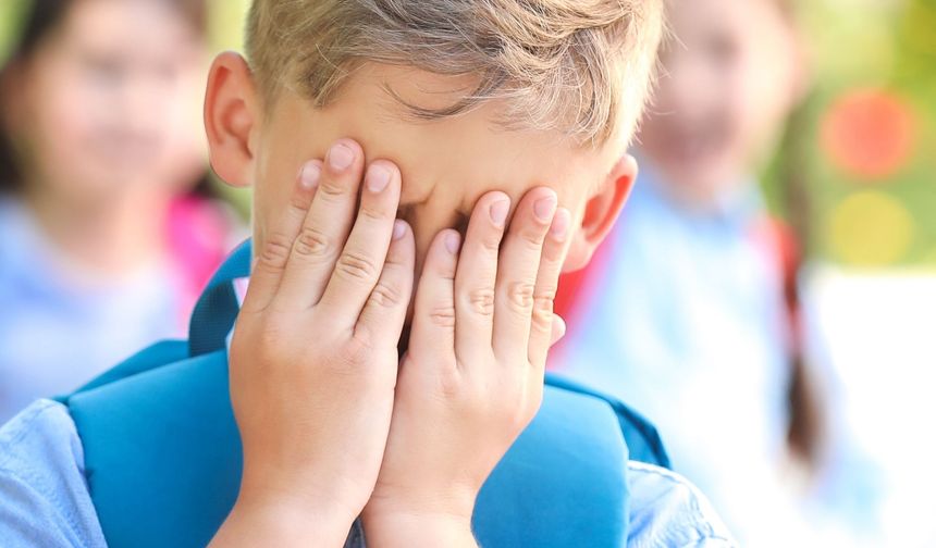 "Akran zorbalığı münferit değil, önlem şart"