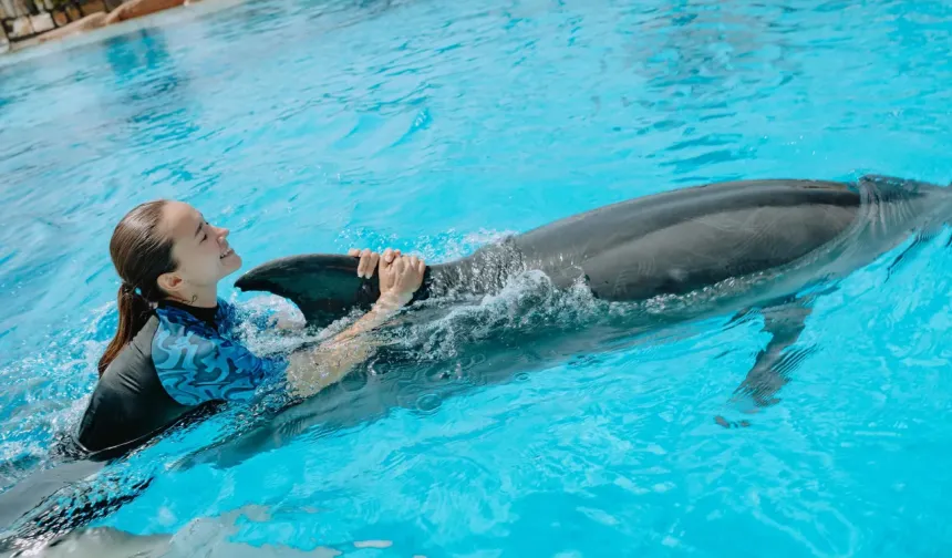 “The Land of Legends yasak deliyor, denetim makamları susuyor”