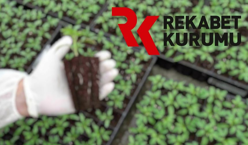 Fide sektörüne soruşturma