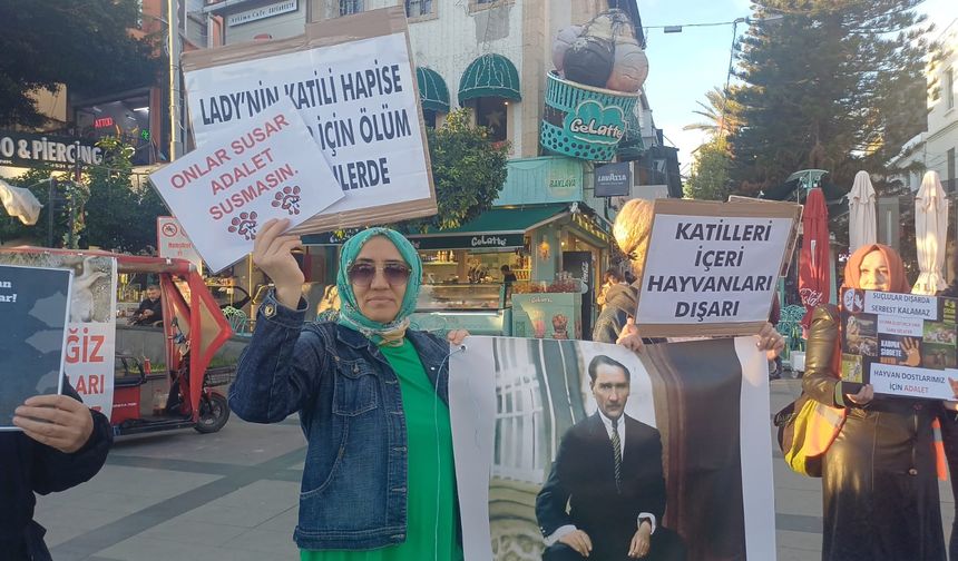 “Bir geceliğine yağmurda kalın, sonra bu yasayı savunun”
