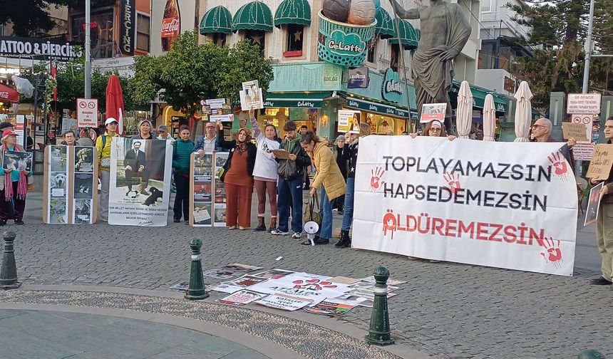 Attalos Pati Gönüllüleri: “İki yıldır meydandayız, taşlar duydu iktidar duymadı”