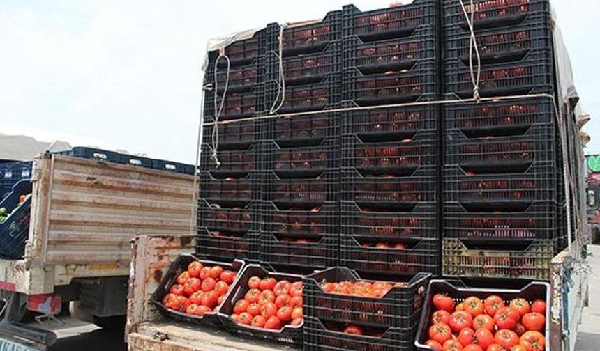 Geçen yıl bu güne göre hal fiyatları karşılaştırması