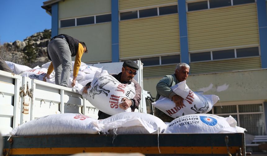Büyükşehir'den hayvancılara yem desteği