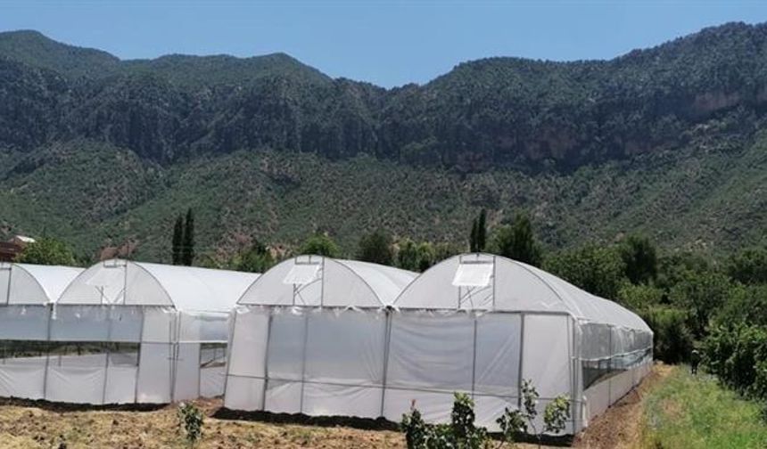 Seralarda yıkım hasat sonrasına ertelendi